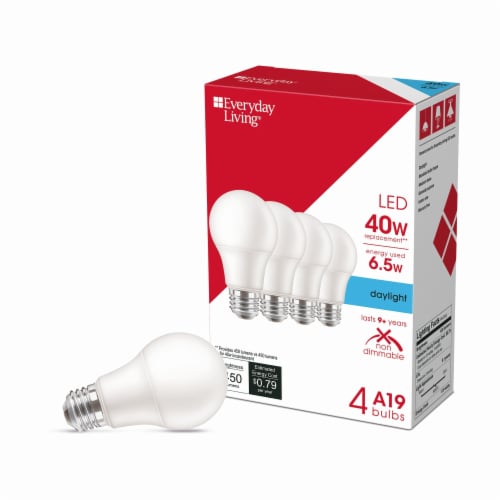 Everyday Living® 6.5-Watt (40-Watt) A19 LED Light Bulb - Daylight (5000K),  4 pk - Kroger