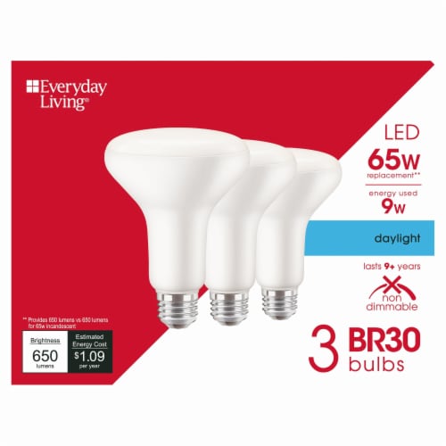 Everyday Living 9 Watt 65 Watt BR30 Reflector LED Light Bulb Daylight 5000K 3 pk Kroger