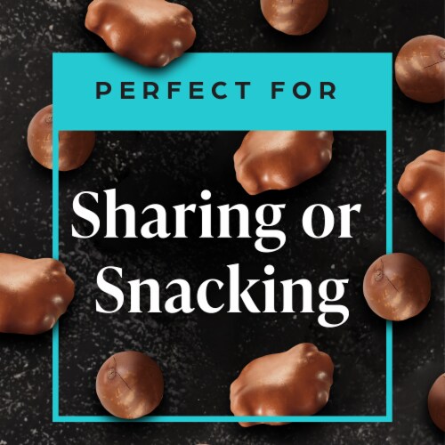 Private Selection® Macadamia and Milk Chocolate Salted Caramel Clusters Candy Bag Perspective: right