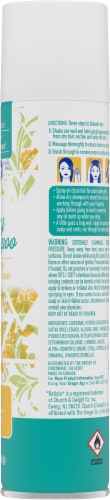 Kroger® Light & Clean Dry Shampoo Perspective: right