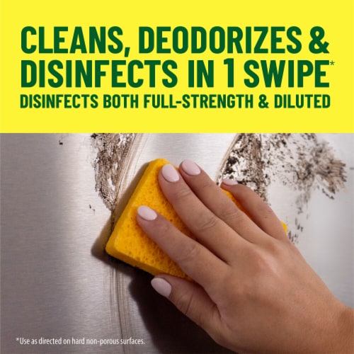 Pine-Sol Pine Multi-Surface Floor Cleaner Original Perspective: right