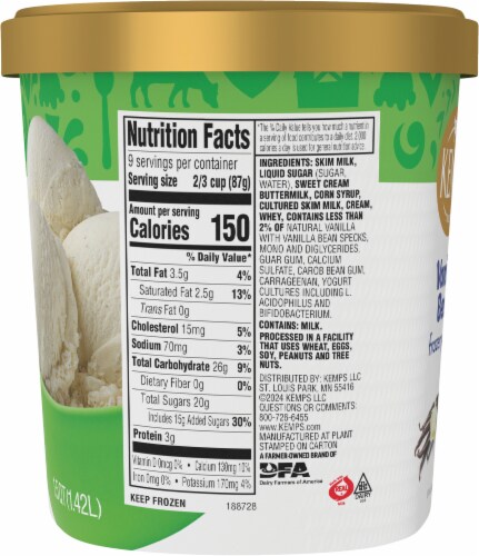 Kemps® Vanilla Bean Frozen Yogurt Tub Perspective: right