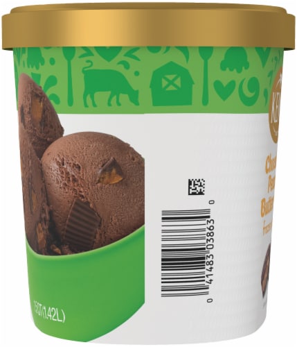 Kemps Chocolate Peanut Butter Cup Frozen Yogurt Perspective: right