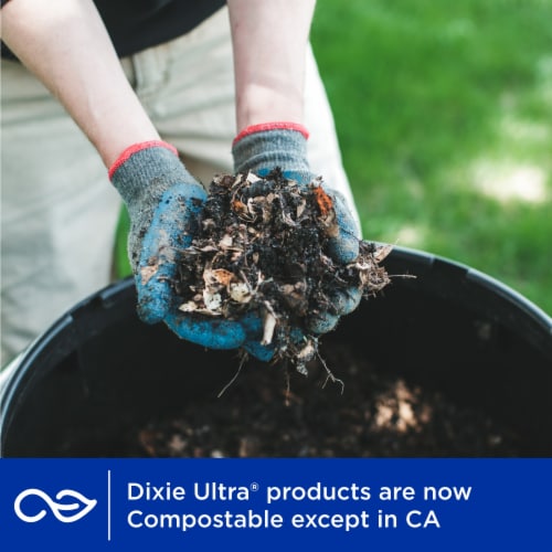Dixie Ultra® Ultimate Strength Paper Bowls Perspective: right