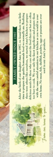 Amy's® Indian Vegetable Pakoras Frozen Meal Perspective: right