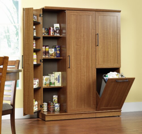 Sauder HomePlus Storage Cabinet, Dakota Oak