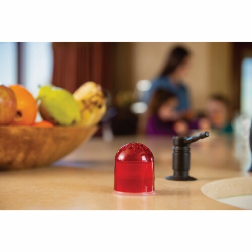 Rescue Reusable Fruit Fly Trap (2-Pack) FFTR2-SF5 Perspective: right