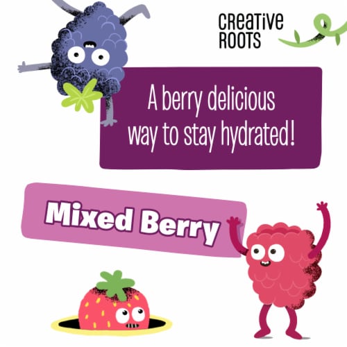 Creative Roots Mixed BerryCoconut Water Kids Drink Perspective: right