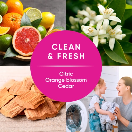 Pinol by Ensueño Powder Laundry Detergent – Clean & Fresh Scent Perspective: right