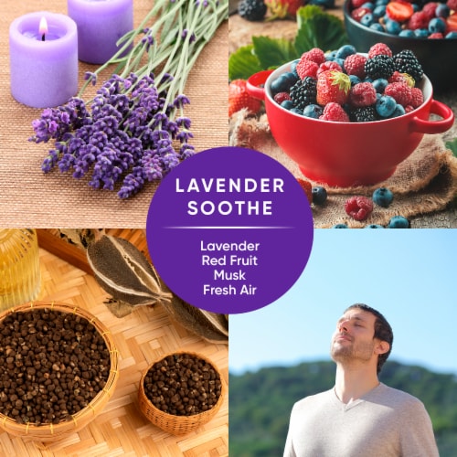 Pinalen Max Aromas® Lavender Multipurpose Cleaner Perspective: right