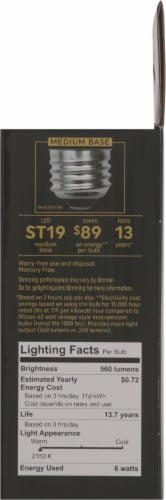 GE LED Vintage Style Light Bulbs Perspective: right