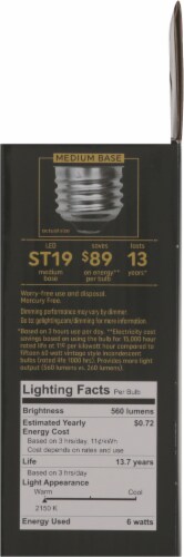 GE LED Vintage Style Light Bulbs Perspective: right