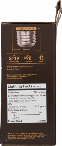 GE Medium Base Vintage Style LED Light Bulb Perspective: right