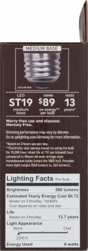 GE LED Light Bulbs Perspective: right