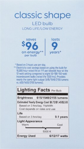 GE Daylight LED Classic Shape Bulb Perspective: right