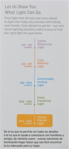 GE 200-Watt A21 Light Bulb Perspective: right