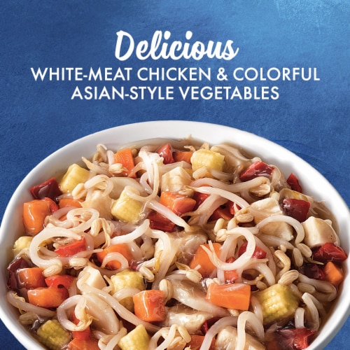 La Choy Chicken Chow Mein White Meat Chicken & Sauce With Asian-Style Vegetables Perspective: right