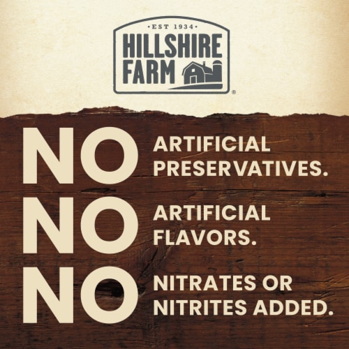 Hillshire Farm Premium Carved Oven Roasted Turkey Breast Sandwich Meat Perspective: right