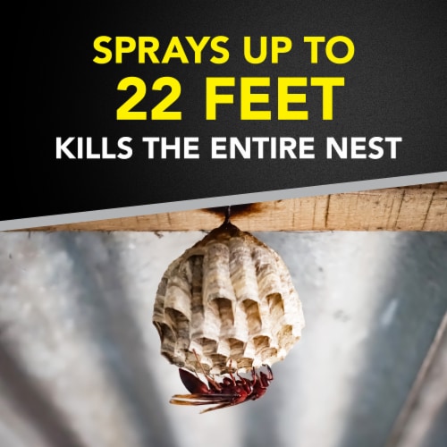 Raid Wasp & Hornet Insect Killer Perspective: right