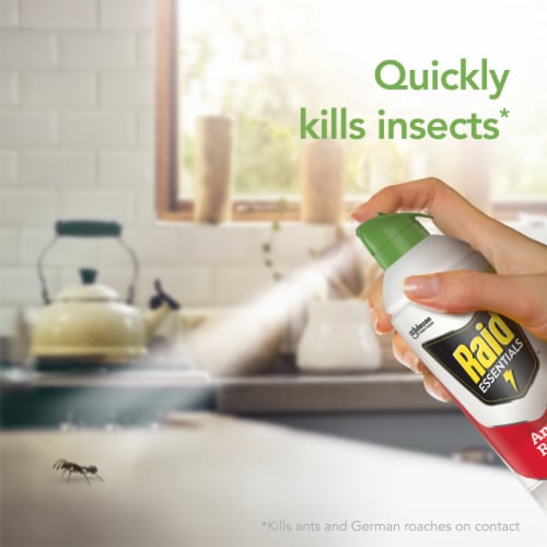 Raid® Essentials Ant and Roach Killer Aerosol Perspective: right
