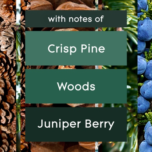Glade® Pine Wonderland Jar Candles Perspective: right