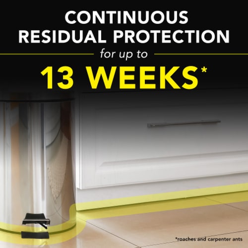 Raid Defend Ant & Roach Killer, Indoor Insecticide, Residual Killing Power, Outdoor Fresh Scent Perspective: right