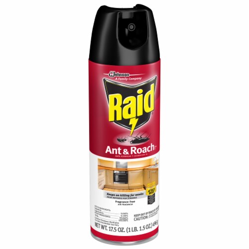 Raid® Fragrance Free Ant & Roach Killer Perspective: right
