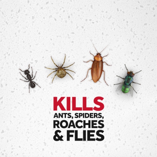 Raid Multi Insect Killer 7, Indoor & Outdoor Insecticide Spray, 15 oz Perspective: right