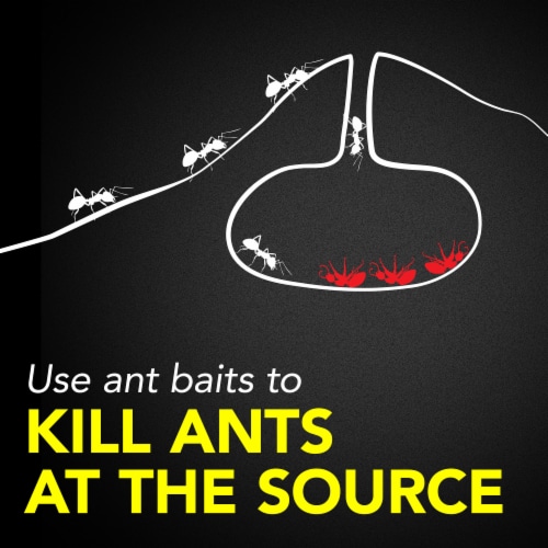 Raid® Ant Baits Perspective: right