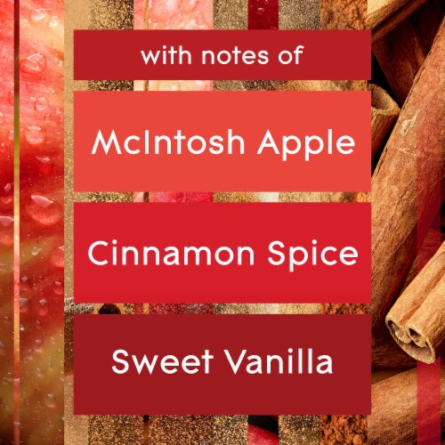 Glade® PlugIns® Apple Cinnamon Oil Refills Perspective: right