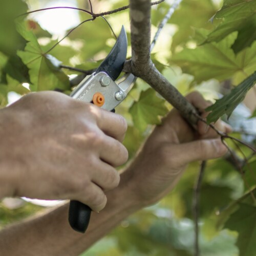 Fiskars Ultrablade Bypass Pruner - Black/Orange Perspective: right