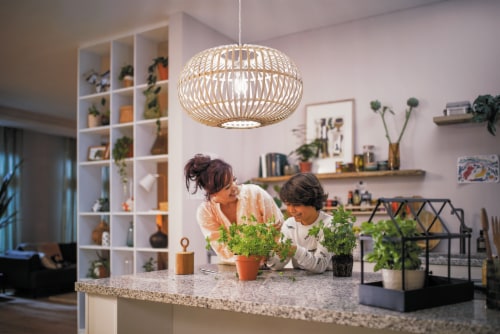 Philips Ultra Efficient A19 Clear Dimmable 800 Lumen 2700K Soft White Light Bulb 2 pk City Market