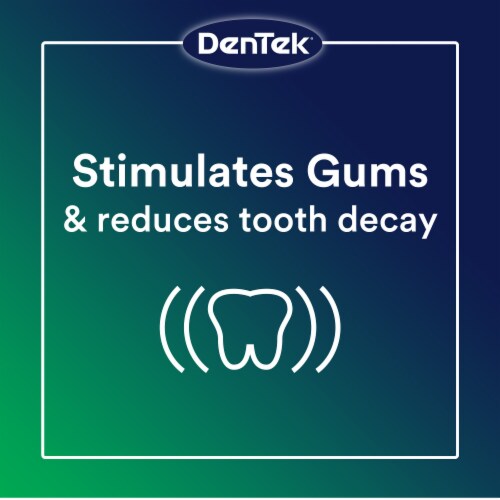 DenTek Professional Oral Care Kit, Advanced Clean Perspective: right