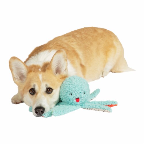 Manhattan Pet Toy Oddball Olga Octopus Fabric Covered Squeaker Dog Exercise Ball Toy Perspective: right