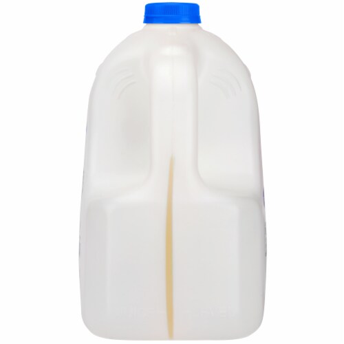 Tropicana Pure Premium® No Pulp Calcium & Vitamin D 100% Orange Juice Jug Perspective: right