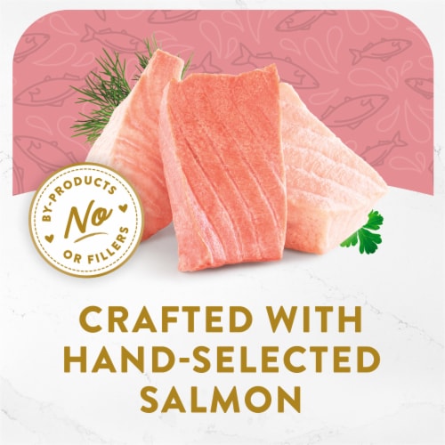 Purina Fancy Feast Appetizers Lickable Wet Cat Food Topper Wild Alaskan Salmon Appetizer Perspective: right