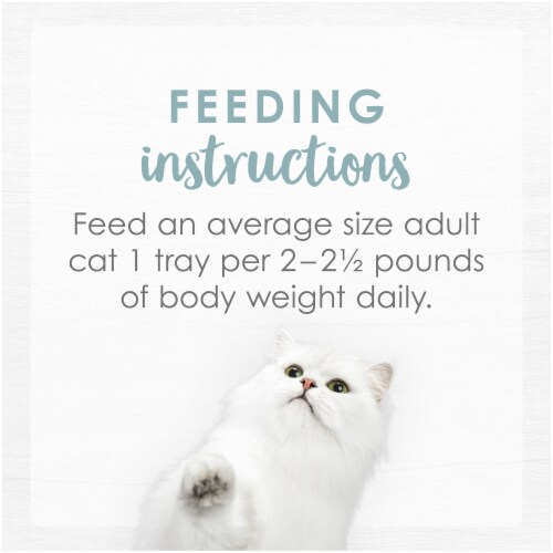 Purina Fancy Feast Purely Natural Seabass & Shrimp Entree Wet Cat Food Perspective: right