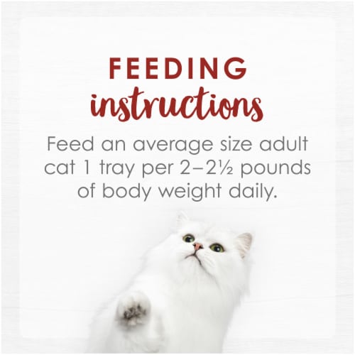 Fancy Feast® Purely® Natural Flaked Skipjack Tuna Entree in Delicate Broth Wet Cat Food Perspective: right