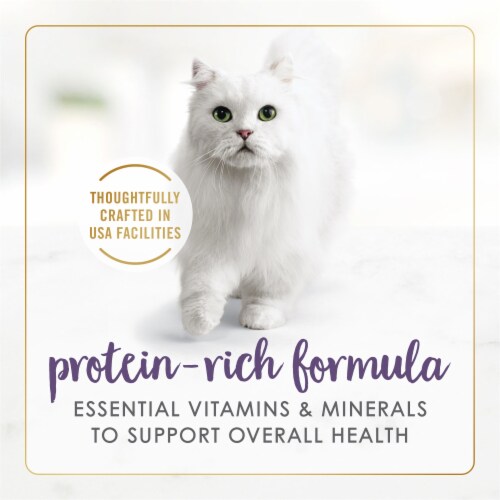 Fancy Feast® Grilled Beef Feast in Gravy Wet Cat Food Perspective: right