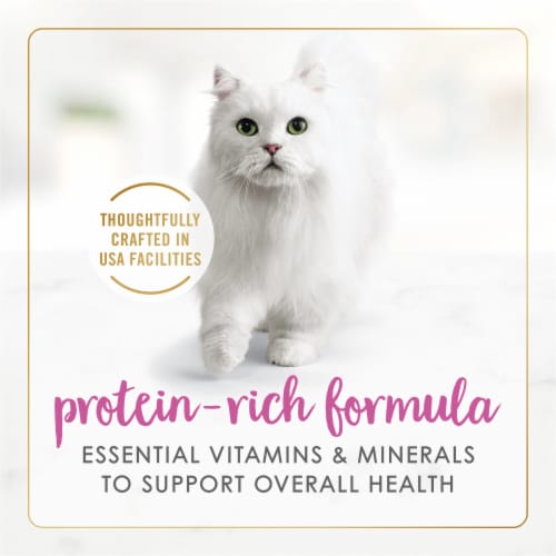Purina Fancy Feast Wet Cat Food Gravy Lovers Chicken Feast Pate Perspective: right