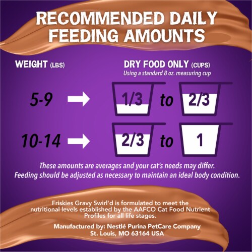 Friskies® Gravy Swirlers with Chicken & Salmon Flavors Dry Cat Food Perspective: right