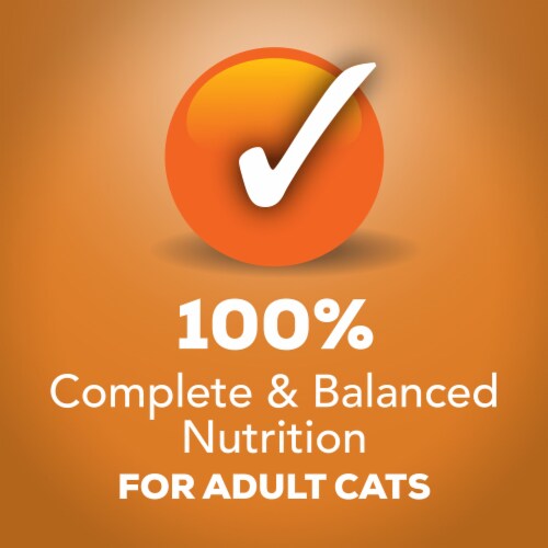 Purina Friskies Extra Gravy Chunky Wet Cat Food Variety Pack Chicken, Turkey, Salmon & Beef Perspective: right