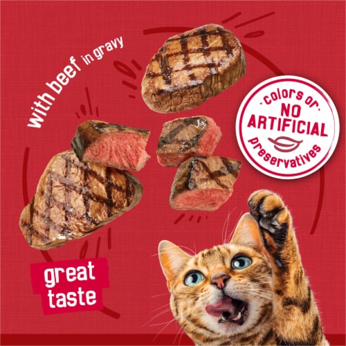 Purina Friskies Prime Filets Wet Cat Food in Gravy Beef Perspective: right