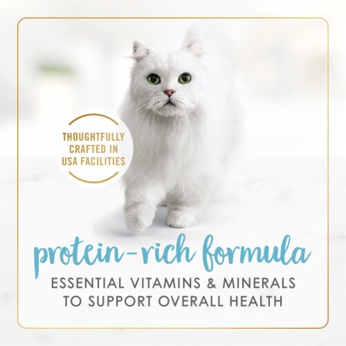 Purina Fancy Feast Gravy Lovers Wet Cat Food in Gravy Salmon & Sole Feast Perspective: right