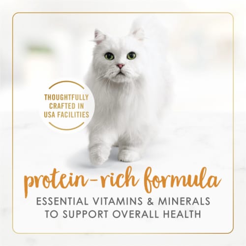 Purina Fancy Feast Gravy Lovers Wet Cat Food in Gravy Chicken Hearts & Liver Feast Perspective: right