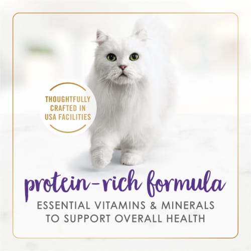 Fancy Feast Gravy Lovers Chicken & Beef in Gravy Wet Cat Food Perspective: right
