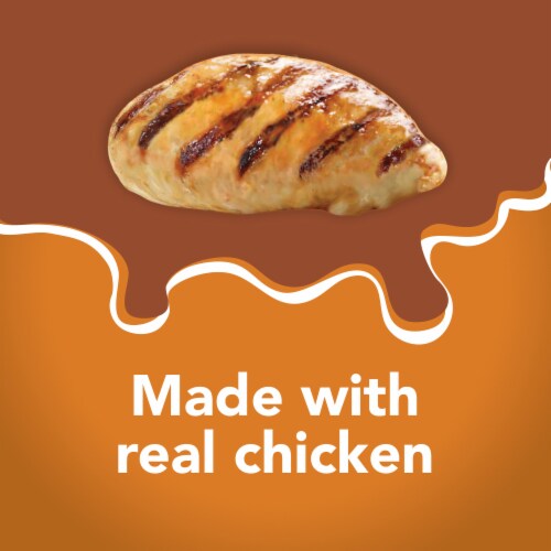 Purina Friskies Extra Gravy Chunky Wet Cat Food in Savory Gravy Chicken Perspective: right