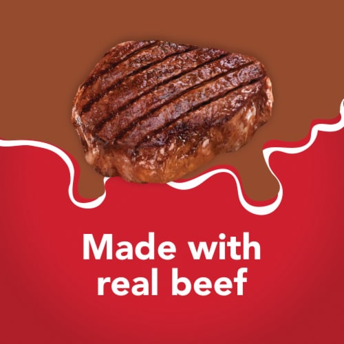 Purina Friskies Extra Gravy Chunky Wet Cat Food in Savory Gravy Beef Perspective: right