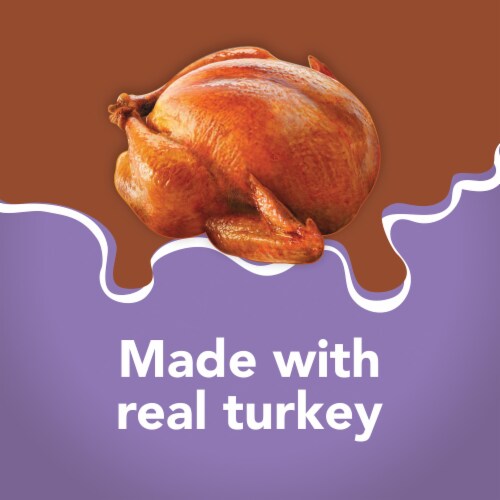 Purina Friskies Extra Gravy Chunky Wet Cat Food in Savory Gravy Turkey Perspective: right