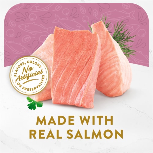 Purina Fancy Feast Broths Wet Cat Food Complement Classic Wild Salmon & Vegetables Perspective: right